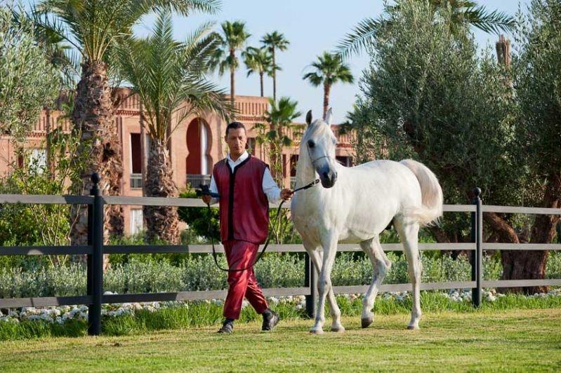 Selman Marrakech Hotel El Makina Tiện nghi bức ảnh