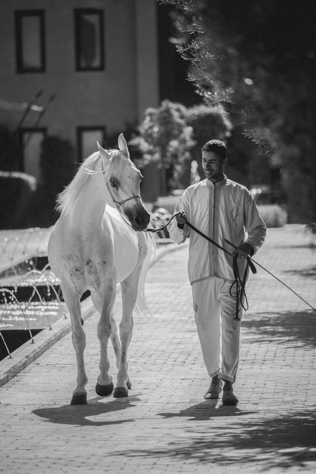 Selman Marrakech Hotel El Makina Ngoại thất bức ảnh